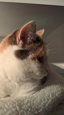 PhotoChooser-32406703-8fcf-4c27-8d5e-2edba469d4ae.jpg