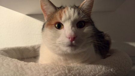 WP_20160113_22_35_11_Rich.jpg
