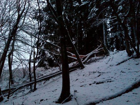 IMG_20160117_081401_1.jpg