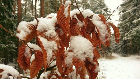 PIC_20160117_115609-01.jpeg
