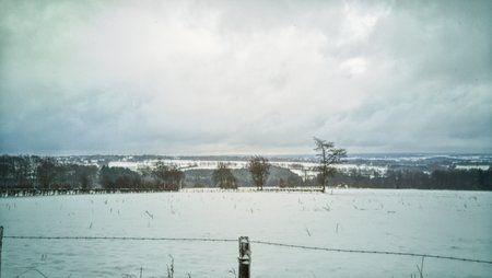 snapseed-03.jpeg