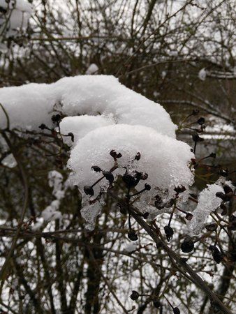 IMG_20160117_121130.jpg