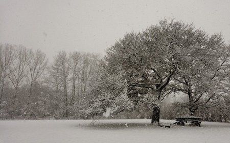 Schnee .jpg