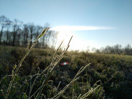 IMG_20160119_094148.jpg
