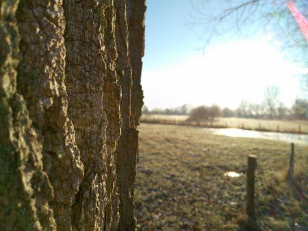 IMG_20160119_095033.jpg