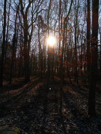 IMG_20160119_113739.jpg