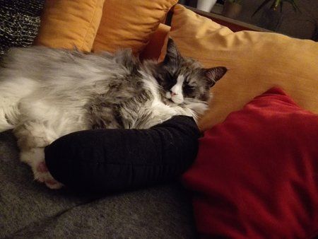 IMG_20160121_200212.jpg