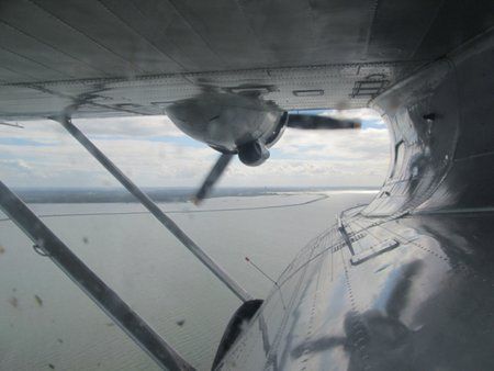 5407-PS.jpg