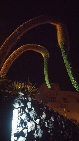 20160127_221252.jpg
