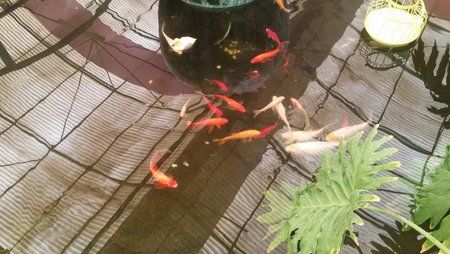 rps20160130_132354.jpg