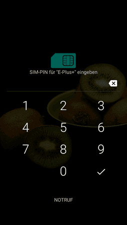 SIM-PIN.png