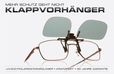 flips_german.jpg