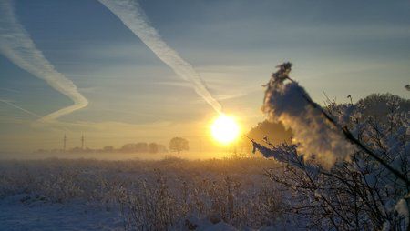 20160118_160019_HDR.jpg