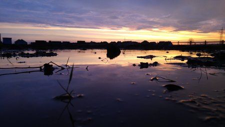 20151231_081655.jpg