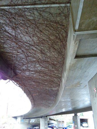 IMG_20160201_095201.jpg