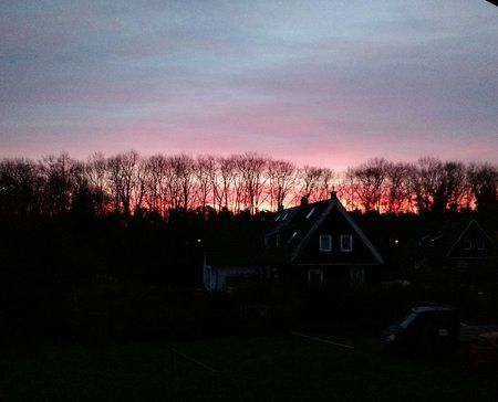 DSC_0020-01.jpeg
