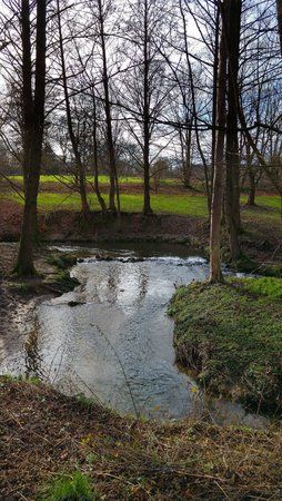 20160206_123705_HDR.jpg