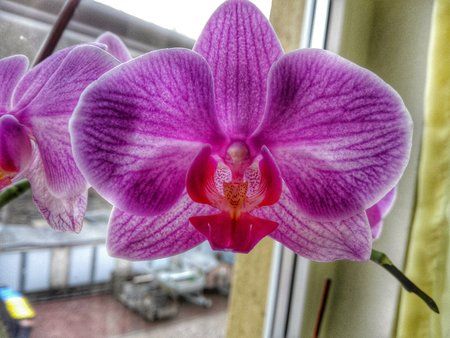DSC_0129-01.jpeg