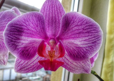 DSC_0129-02.jpeg