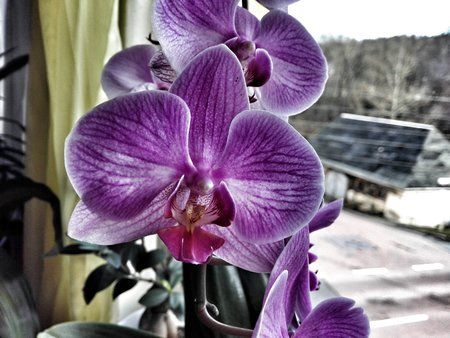 DSC_0134-01.jpeg