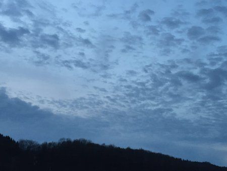 IMG-20160207-WA0006.jpg