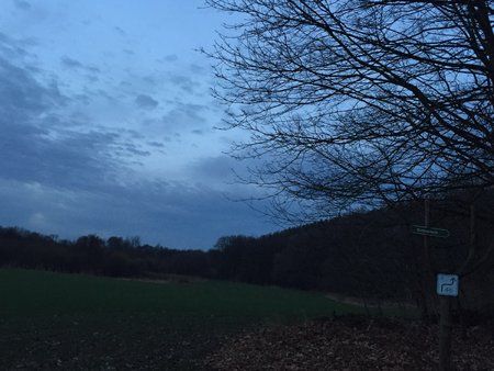 IMG-20160207-WA0002.jpg