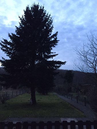IMG-20160207-WA0000.jpg