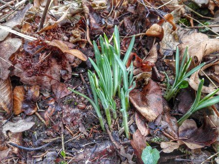 DSC_0192-01.jpeg