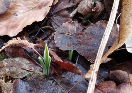 DSC_0190-01.jpeg