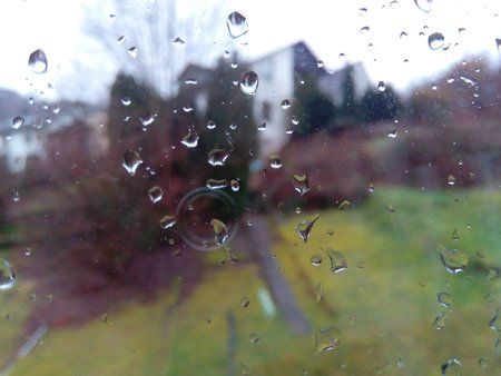IMG_20160208_095407.jpg