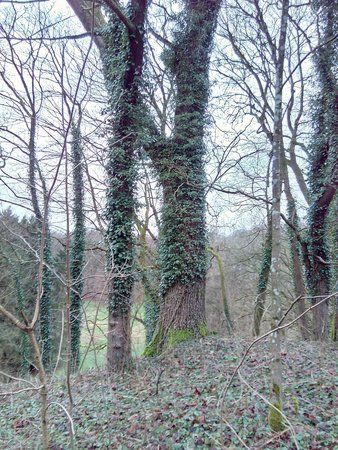 IMG_20160209_081736_1.jpg