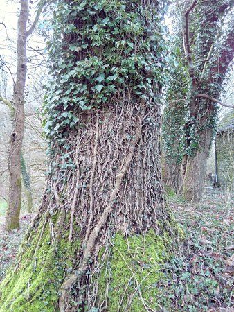 IMG_20160209_081634_1.jpg