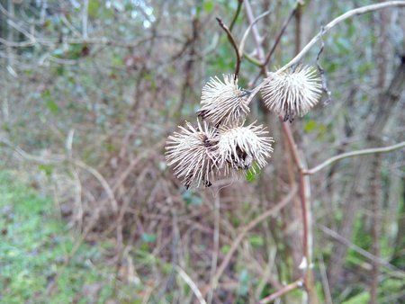 IMG_20160209_082636_1.jpg