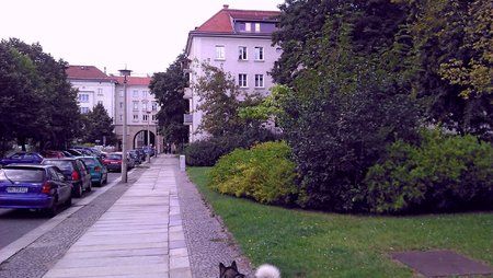 IMAG0535-1-1-1.jpg