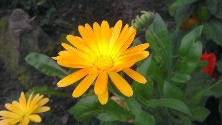 IMAG0406.jpg