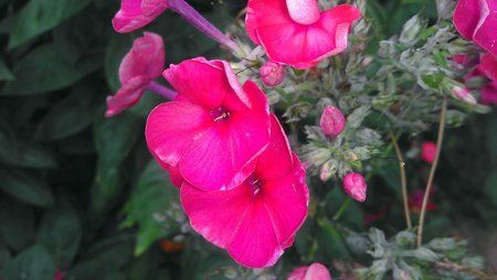 IMAG0407.jpg