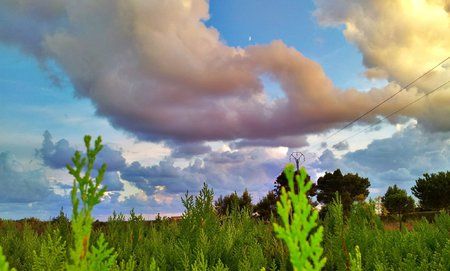 C360_2011-09-03 19-58-29.jpg