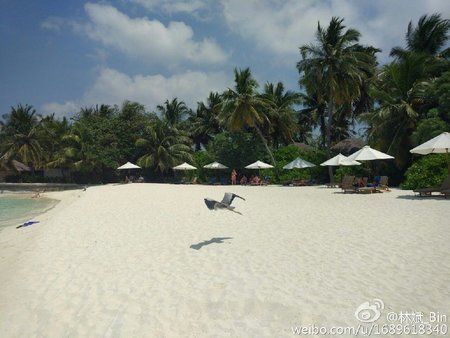 xiaomi-mi-5-camera-sample-01.jpg