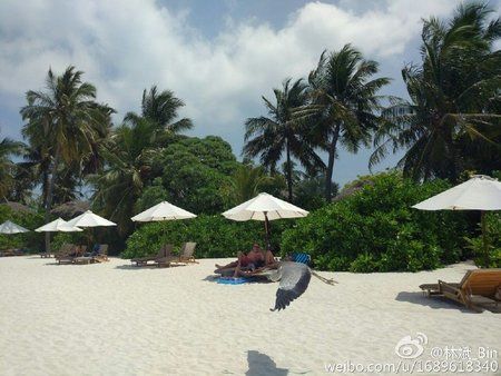 xiaomi-mi-5-camera-sample-02.jpg