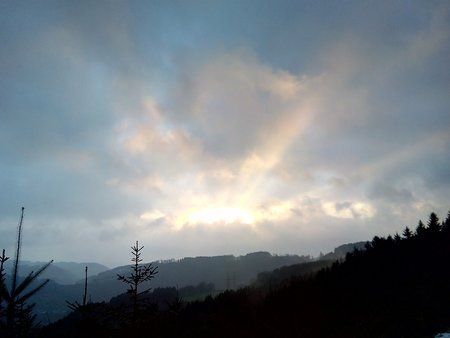 IMG_20160211_082938_1.jpg