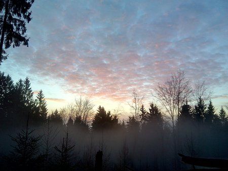 IMG_20160213_074701_1.jpg