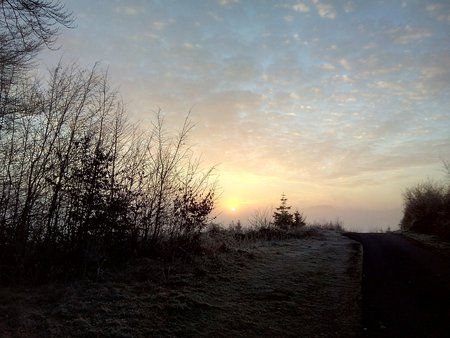 IMG_20160213_075538_1.jpg