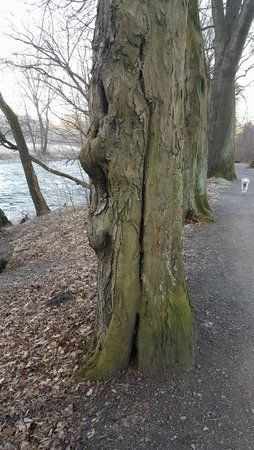 2016-02-13 08.35.24-1.jpeg