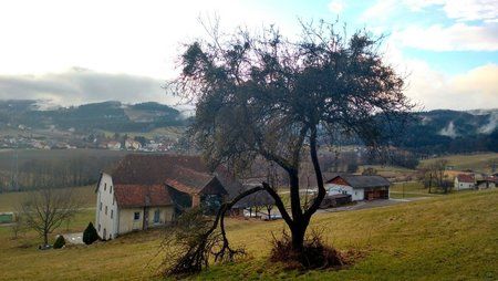 IMG_20160210_163727118_HDR.jpg