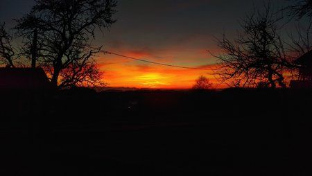 IMAG0247.jpg