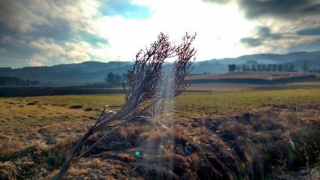 IMG_20160211_153410053_HDR.jpg