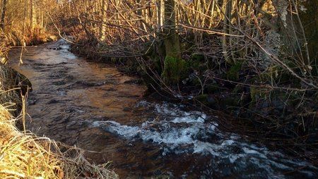 IMG_20160211_160853196_HDR.jpg