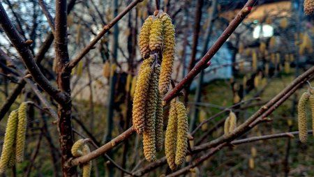 IMG_20160210_162837936_HDR.jpg