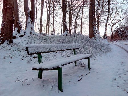 IMG_20160216_074403_1.jpg