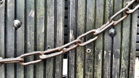 BestPhoto_20160217_083242_1-01.jpeg